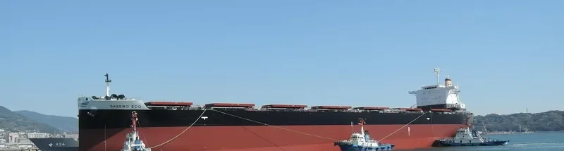 SASEBO ECO Bulk Carrier IMO 9675456 photo 9