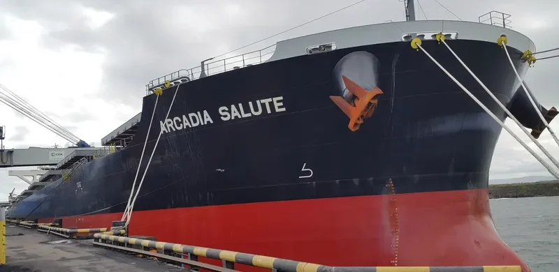 ARCADIA SALUTE Bulk Carrier IMO 9675626 photo 8