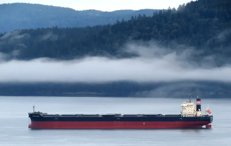 ARCADIA SALUTE Bulk Carrier IMO 9675626 photo 9