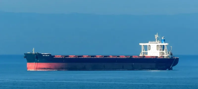 NSU OBELISK Bulk Carrier IMO 9675664