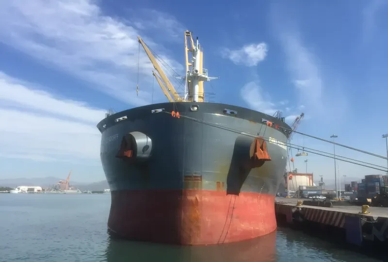 EMMA OLDENDORFF General Cargo IMO 9676606 photo 5