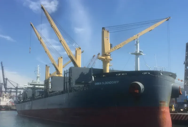EMMA OLDENDORFF General Cargo IMO 9676606 photo 6