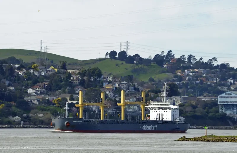 EMMA OLDENDORFF General Cargo IMO 9676606 photo 9