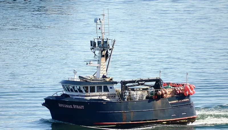 AFOGNAK STRAIT General Cargo IMO 9677806