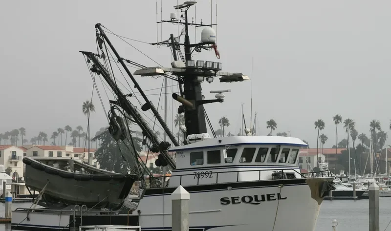 SEQUEL General Cargo IMO 9677856 photo 6