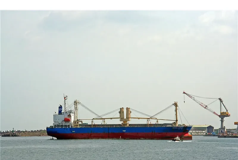 DERYOUNG SUNBRIGHT General Cargo IMO 9678317 photo 3