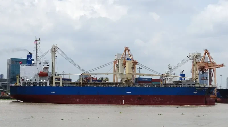 DERYOUNG SUNBRIGHT General Cargo IMO 9678317 photo 5