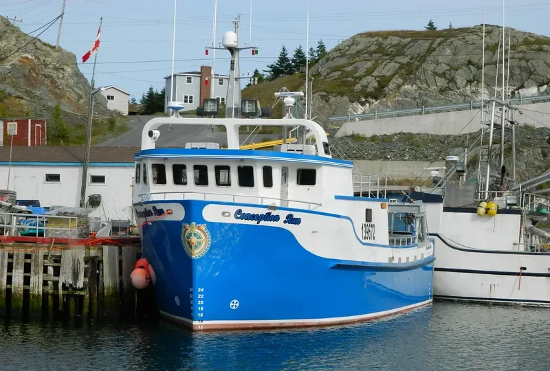 CONCEPTION RUN General Cargo IMO 9678410 photo 2
