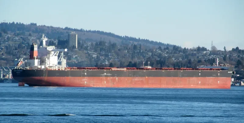 MINA OLDENDORFF Bulk Carrier IMO 9678795 photo 7