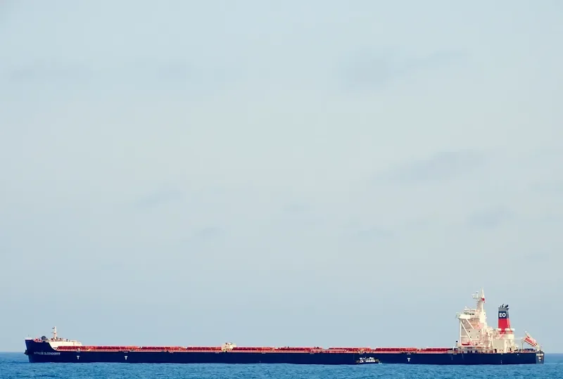 MATHILDE OLDENDORFF Bulk Carrier IMO 9678800 photo 7