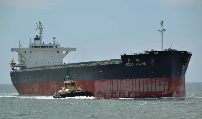 CEMTEX LEADER Bulk Carrier IMO 9679672 photo 4