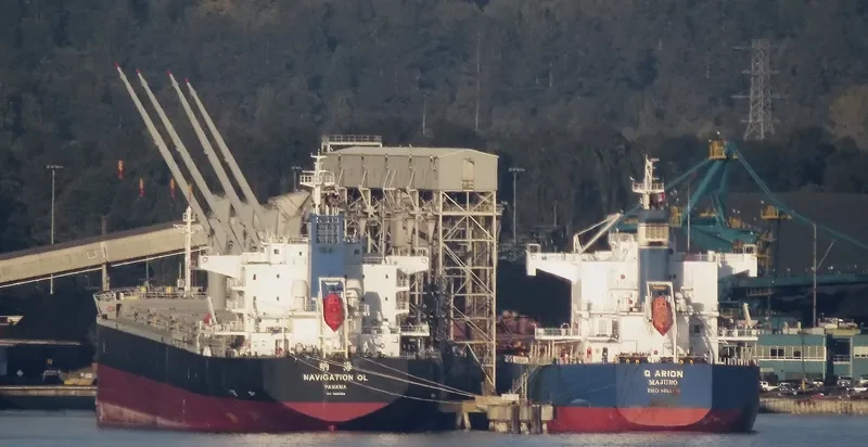 NAVIGATION OL Bulk Carrier IMO 9681493 photo 5
