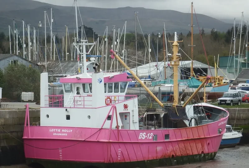 LOTTIE HOLLY General Cargo IMO 9681558