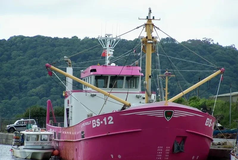 LOTTIE HOLLY General Cargo IMO 9681558 photo 2