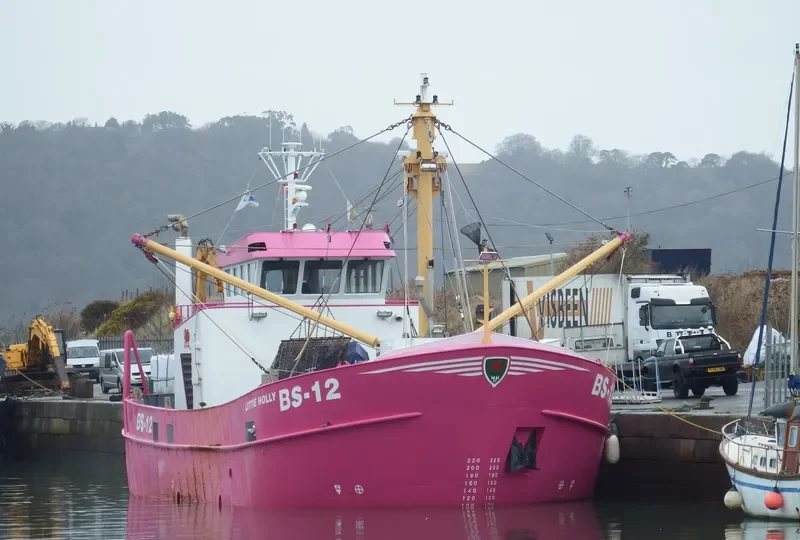 LOTTIE HOLLY General Cargo IMO 9681558 photo 7