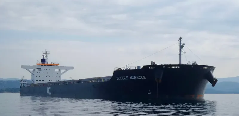 DOUBLE MIRACLE Bulk Carrier IMO 9682966 photo 2