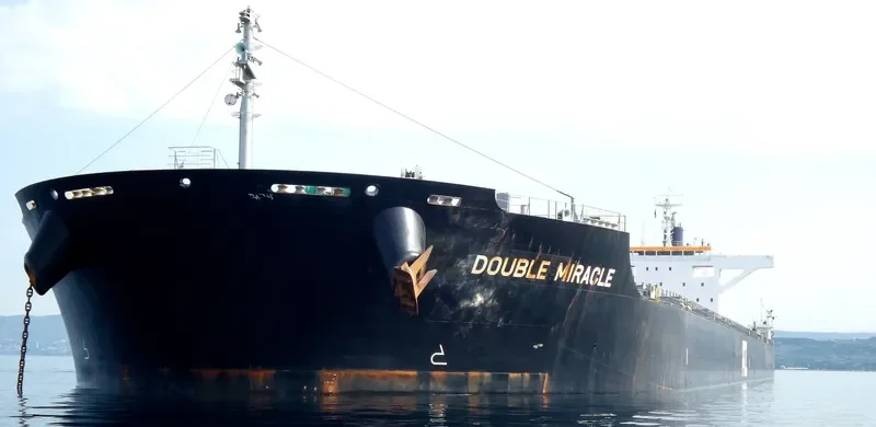 DOUBLE MIRACLE Bulk Carrier IMO 9682966 photo 3
