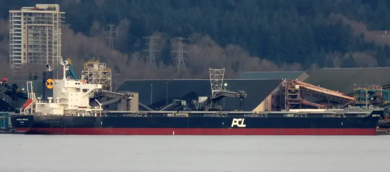DOUBLE MIRACLE Bulk Carrier IMO 9682966 photo 6
