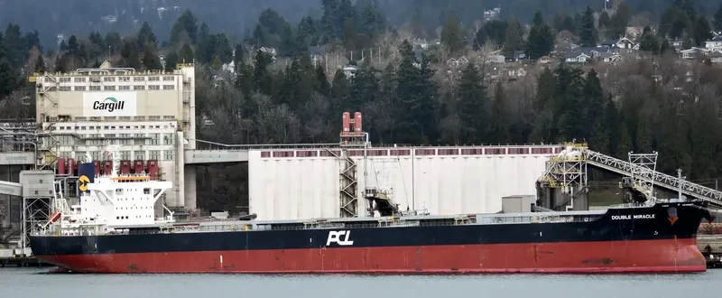 DOUBLE MIRACLE Bulk Carrier IMO 9682966 photo 7