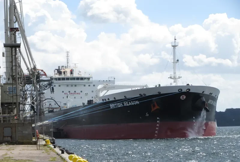 BRITISH REASON Tanker IMO 9683087 photo 8