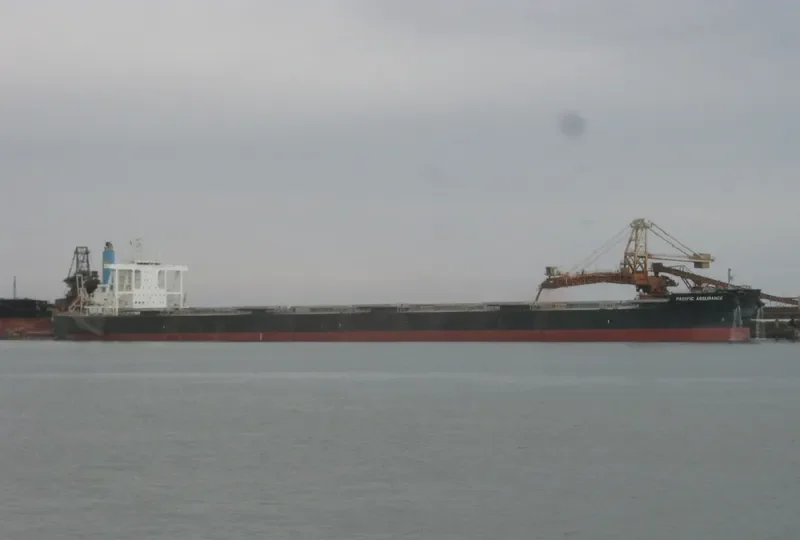 PACIFIC ASSURANCE Bulk Carrier IMO 9683104 photo 4