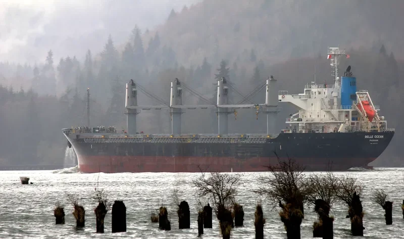 BELLE OCEAN Bulk Carrier IMO 9683116 photo 3