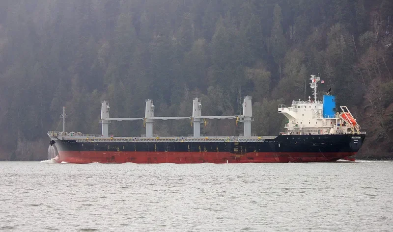 BELLE OCEAN Bulk Carrier IMO 9683116 photo 4