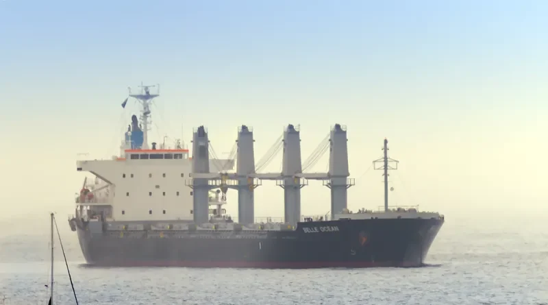 BELLE OCEAN Bulk Carrier IMO 9683116 photo 9