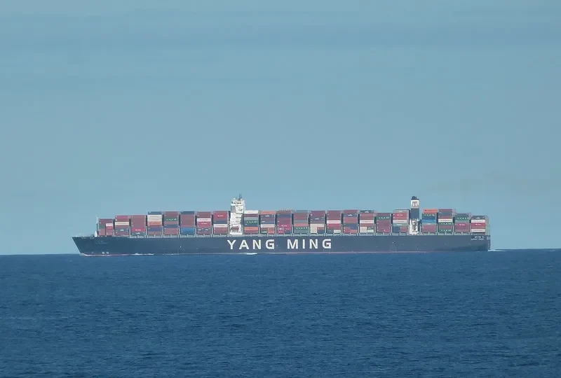 YM WELLHEAD Container Ship IMO 9684665