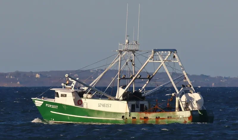 PURSUIT General Cargo IMO 9684952