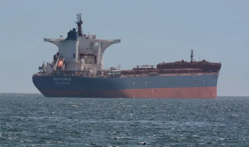 SEAFORCE Bulk Carrier IMO 9685487 photo 3