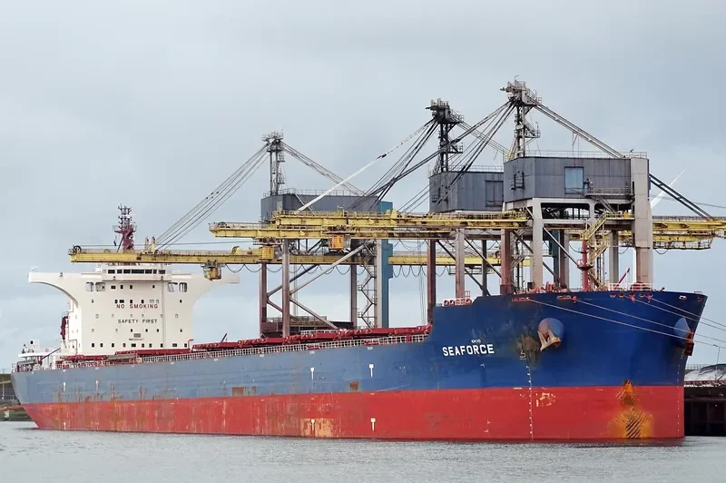SEAFORCE Bulk Carrier IMO 9685487 photo 4