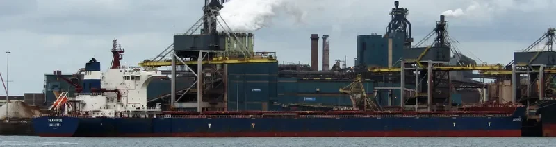 SEAFORCE Bulk Carrier IMO 9685487 photo 6