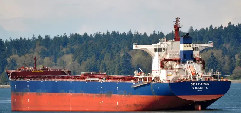 SEAFARER Bulk Carrier IMO 9686314 photo 2
