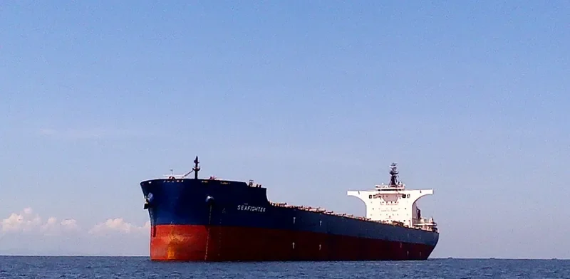 SEAFIGHTER Bulk Carrier IMO 9686326 photo 2