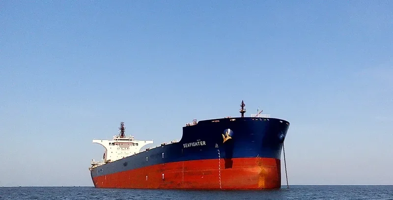 SEAFIGHTER Bulk Carrier IMO 9686326 photo 3