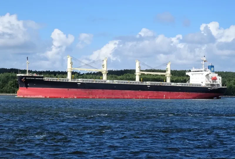 UNITY NORTH Bulk Carrier IMO 9687136 photo 10