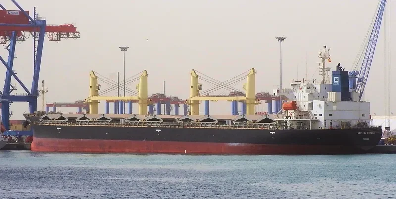 UNITY NORTH Bulk Carrier IMO 9687136 photo 11