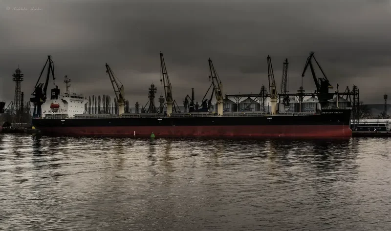 UNITY NORTH Bulk Carrier IMO 9687136 photo 39