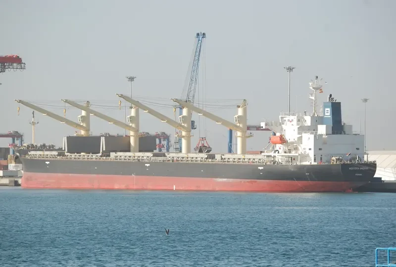 UNITY NORTH Bulk Carrier IMO 9687136 photo 56