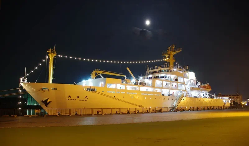 TAISEI MARU General Cargo IMO 9687784 photo 6