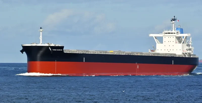 THREE SASKIAS Bulk Carrier IMO 9689811