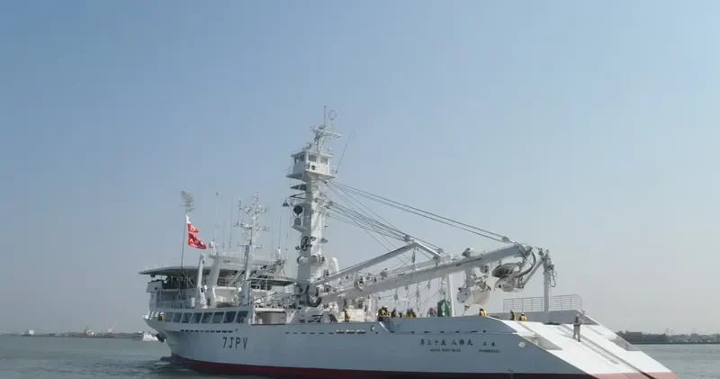 HAKKO MARU NO.35 General Cargo IMO 9690315 photo 2