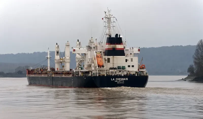 LA CHESNAIS Bulk Carrier IMO 9691034 photo 3