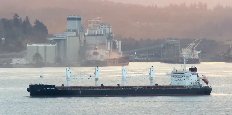 LA CHESNAIS Bulk Carrier IMO 9691034 photo 7