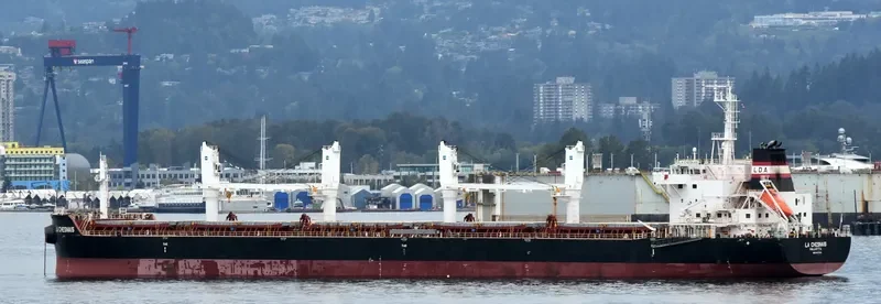 LA CHESNAIS Bulk Carrier IMO 9691034 photo 8