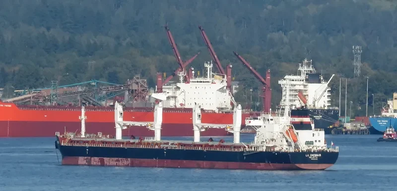 LA CHESNAIS Bulk Carrier IMO 9691034 photo 9