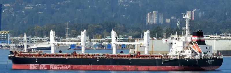 LA CHESNAIS Bulk Carrier IMO 9691034 photo 10
