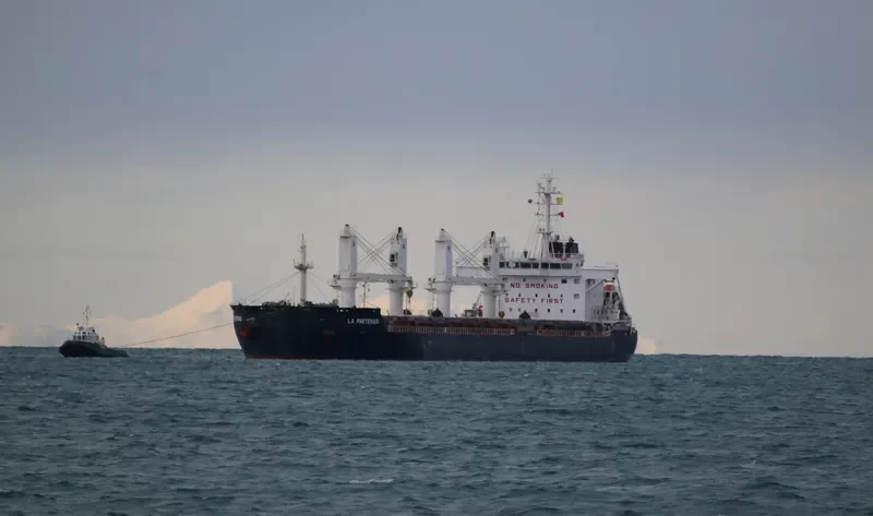 LA PARTENAIS Bulk Carrier IMO 9691046 photo 2
