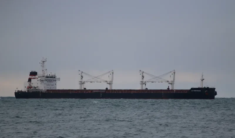 LA PARTENAIS Bulk Carrier IMO 9691046 photo 3